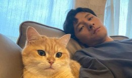 吃瓜娱乐赵小瞒小猫,吃瓜娱乐界的甜蜜萌宠